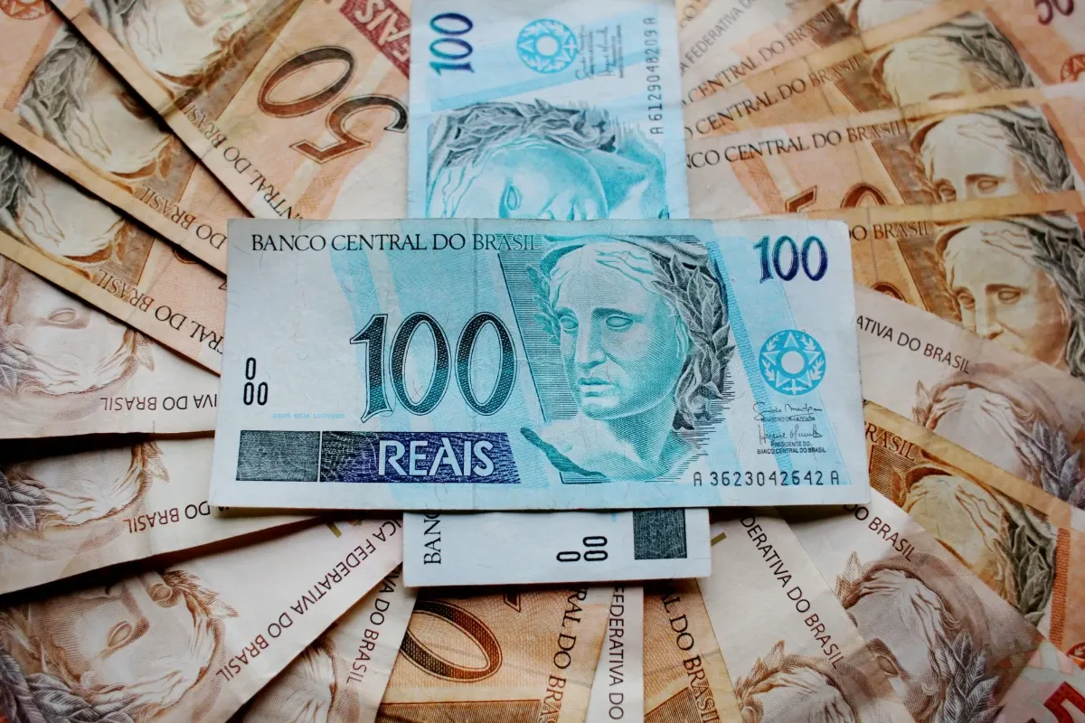 Brasil usa vacas como garantia tokenizada em operação na B3