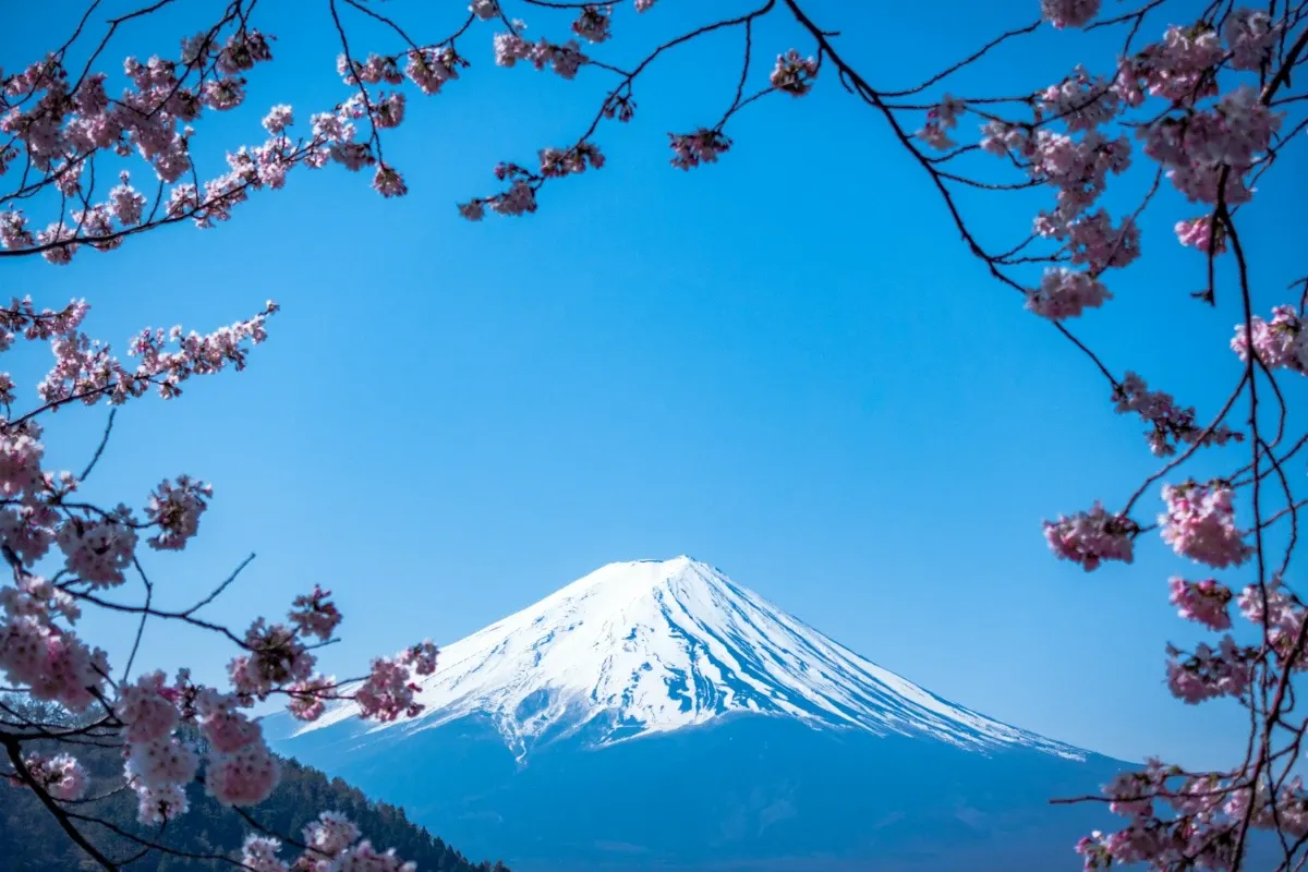 Japão